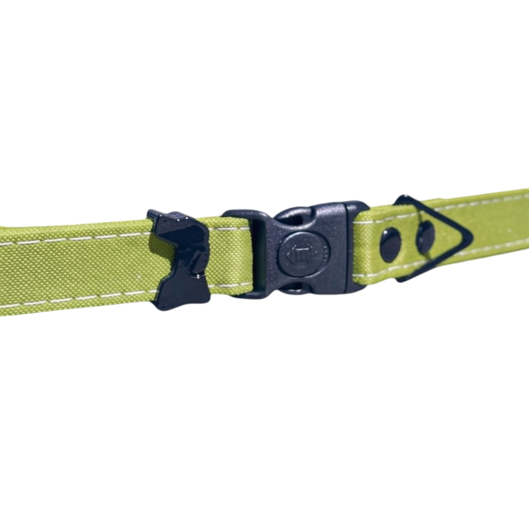 Lime Green